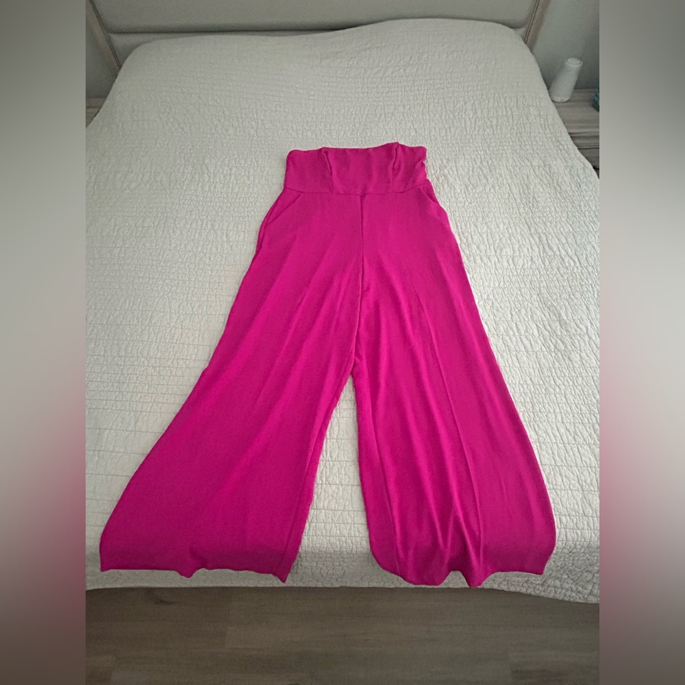 Express Fuchsia Wide-Leg Pants